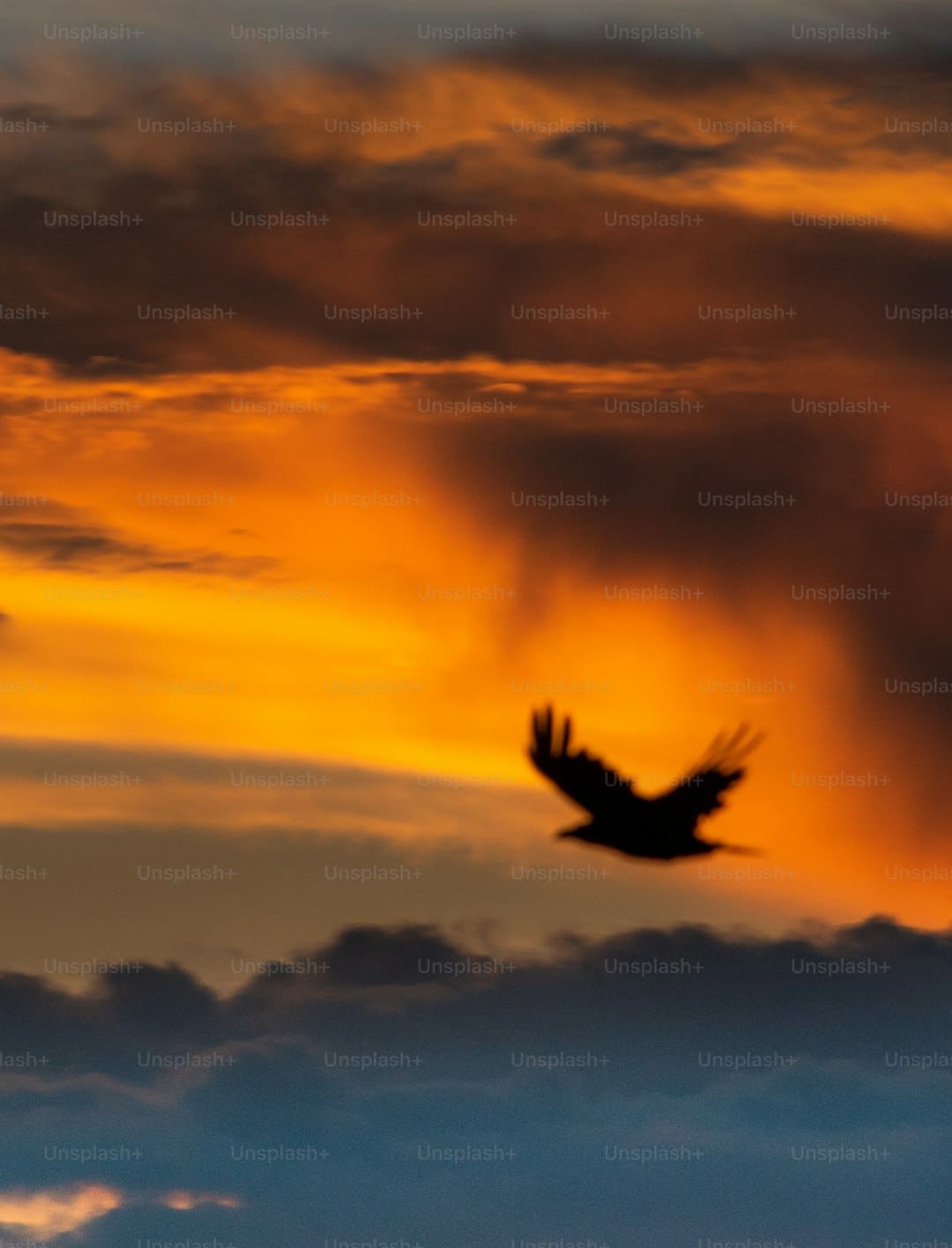 https://picture01.52hrttpic.com/image/infoImage/202506/17/g6272648c19b64e169c23ae4eba48089b.png?1075x805